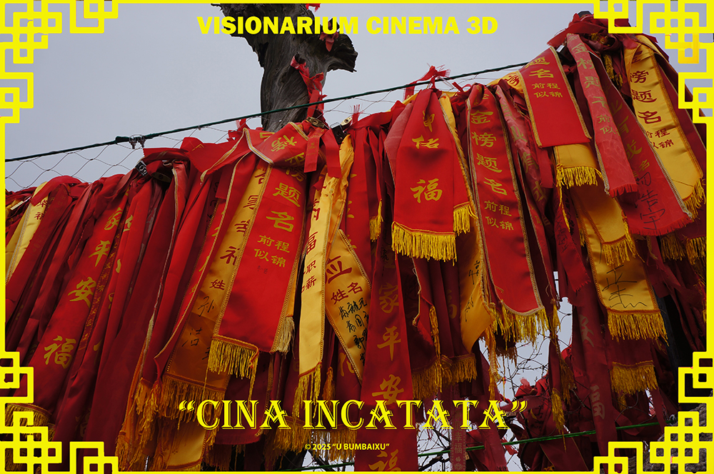 Cina Incantata